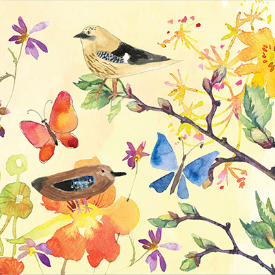 Colecoes Michel Design Works 2022 - Birds and Butterflies